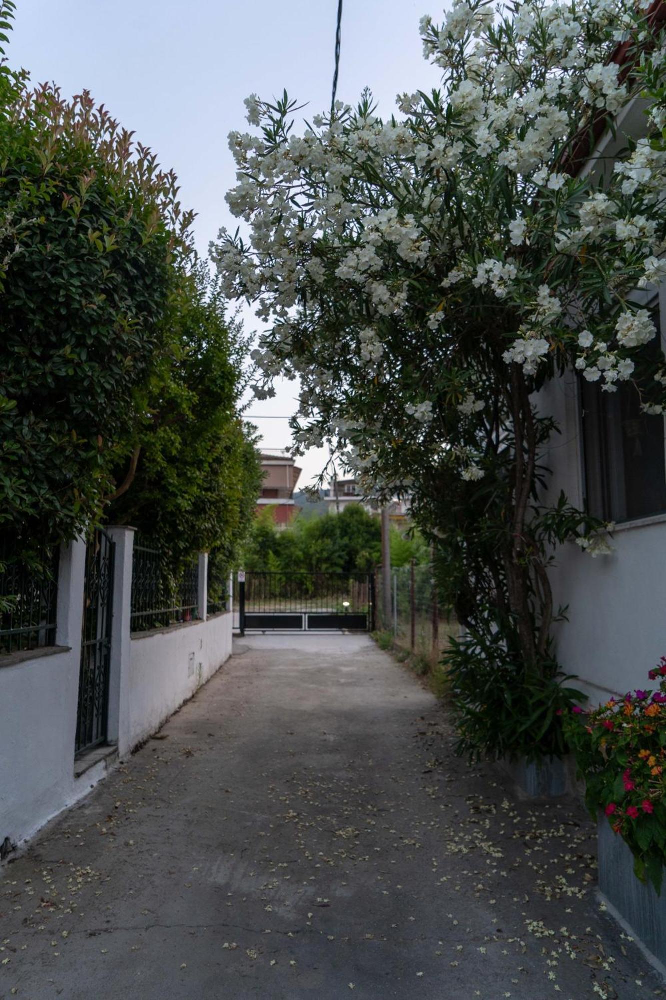 プラタモナス Terrazzo Houseヴィラ エクステリア 写真